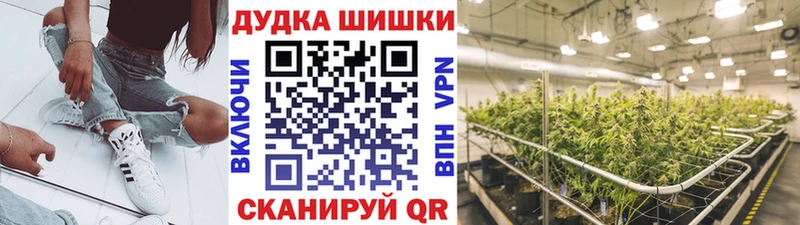 Бошки марихуана Amnesia Нижнекамск