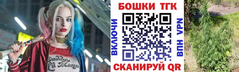 блэк спрут как зайти  закладка  Нижнекамск  Бошки марихуана индика 
